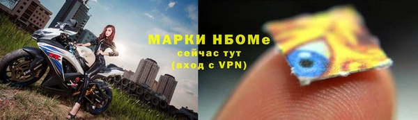 крисы Ельня