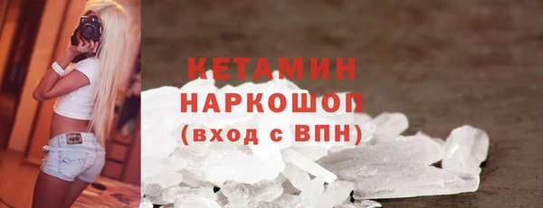 крисы Ельня