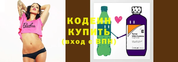 крисы Ельня