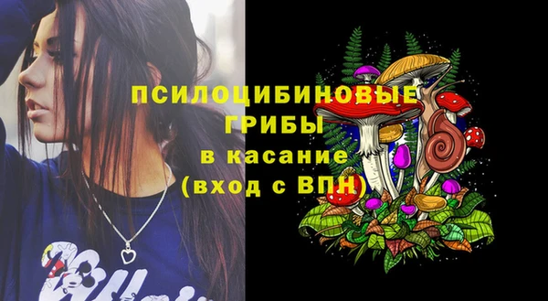 крисы Ельня