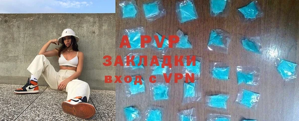крисы Ельня