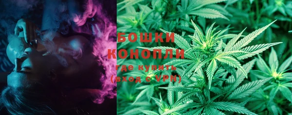 крисы Ельня