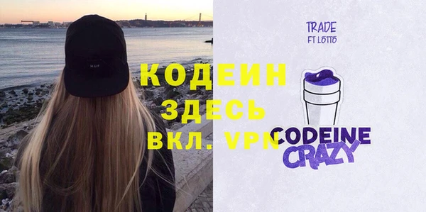 крисы Ельня