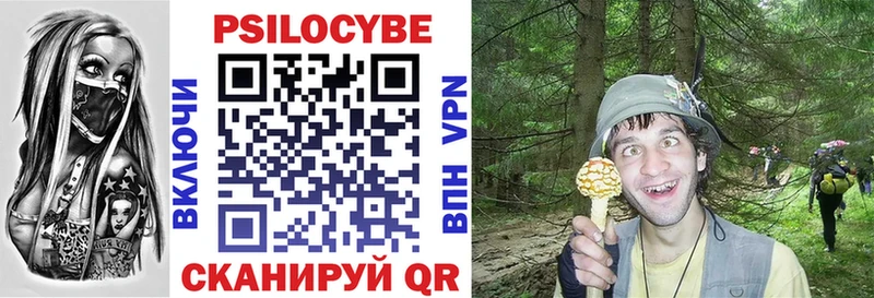 Купить  Ковылкино  Псилоцибиновые грибы MAGIC MUSHROOMS 